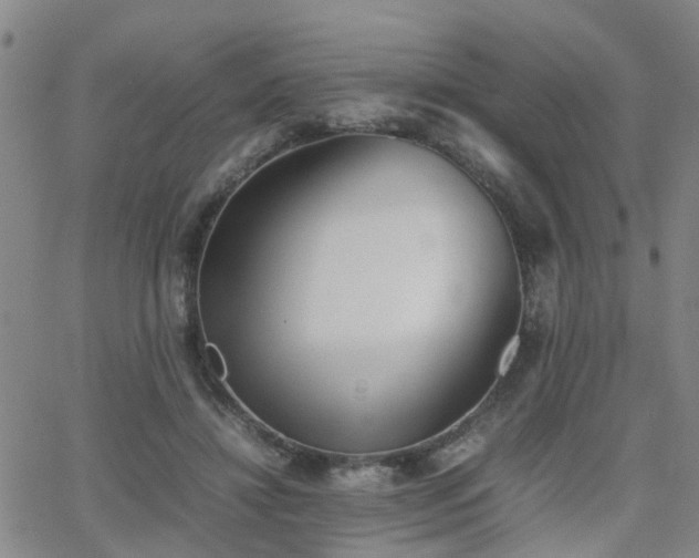 X0000062150452200512091319