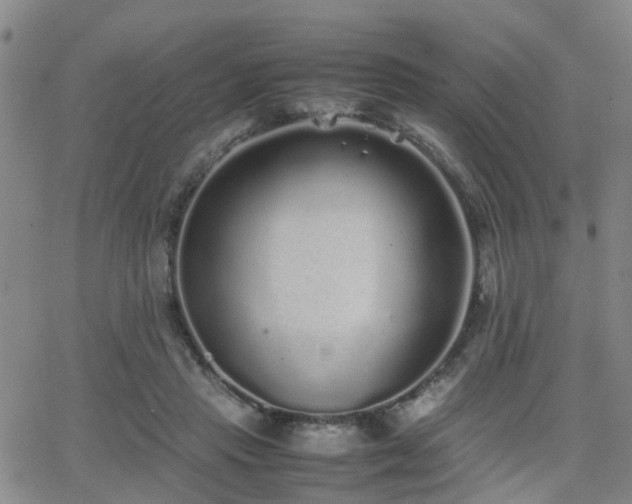 X0000062150453200512091319