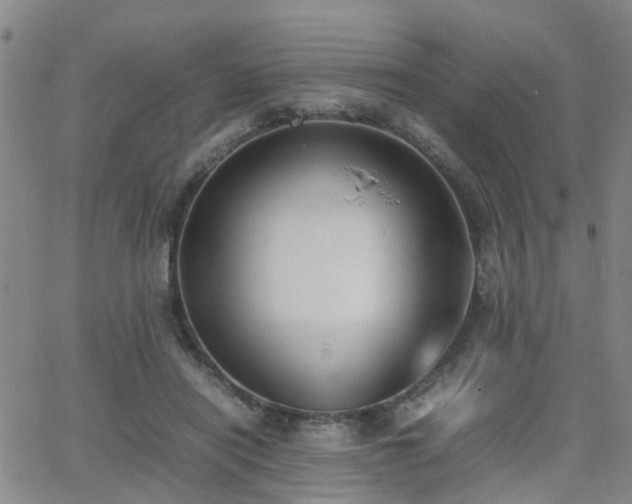 X0000062150454200512091319