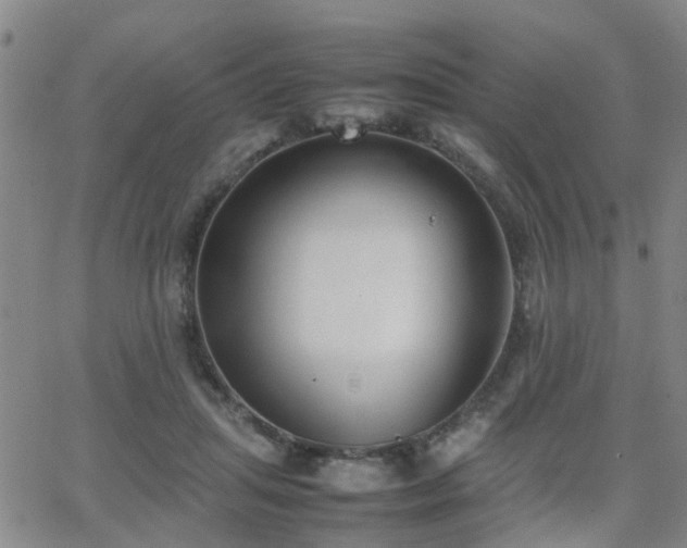 X0000062150455200512091319