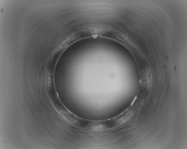 X0000062150456200512091319