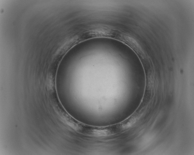 X0000062150457200512091319