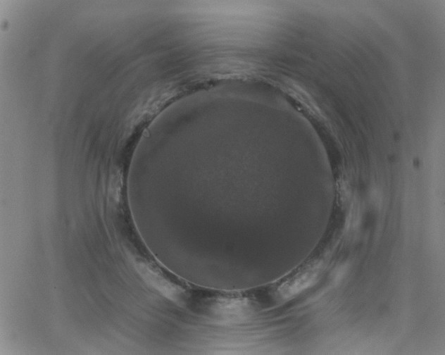 X0000062150458200512091319