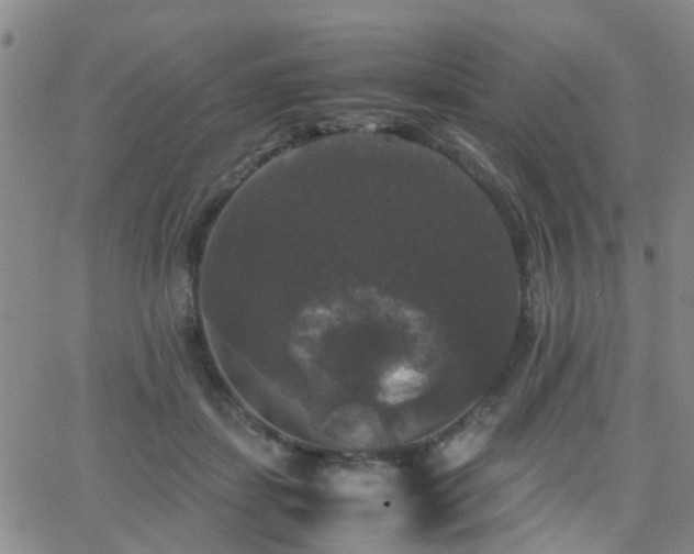 X0000062150459200512091319