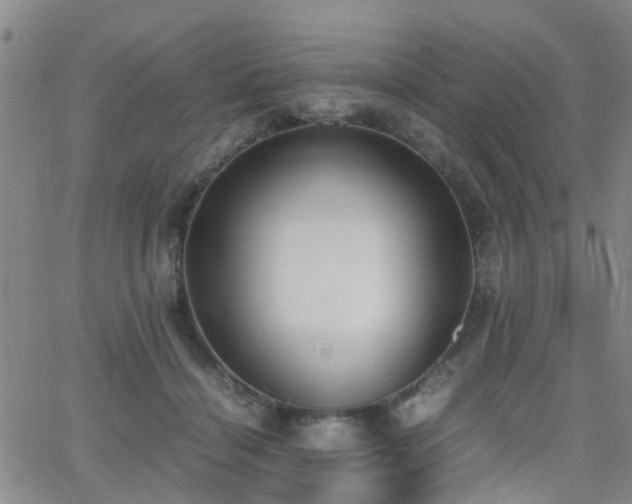 X0000062150460200512091319