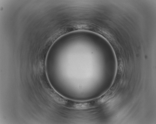 X0000062150461200512091319