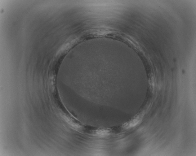 X0000062150462200512091319