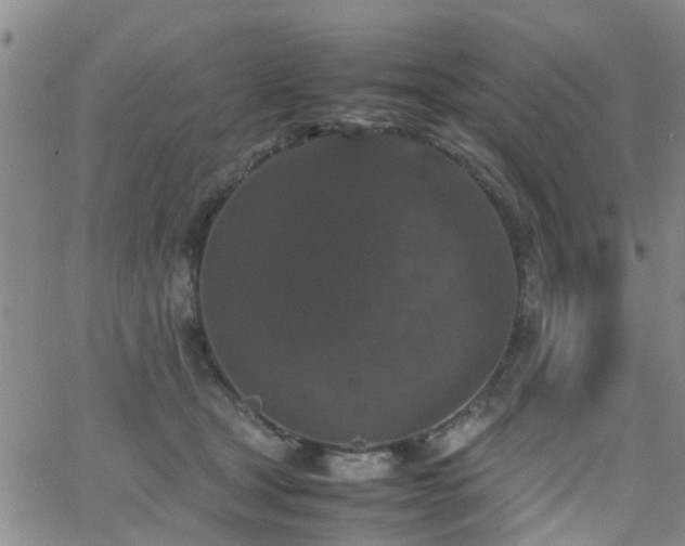 X0000062150465200512091319