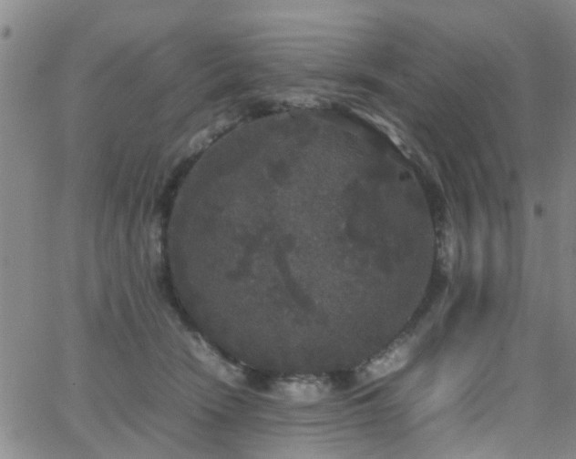 X0000062150466200512091319