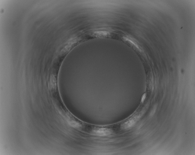 X0000062150467200512091319