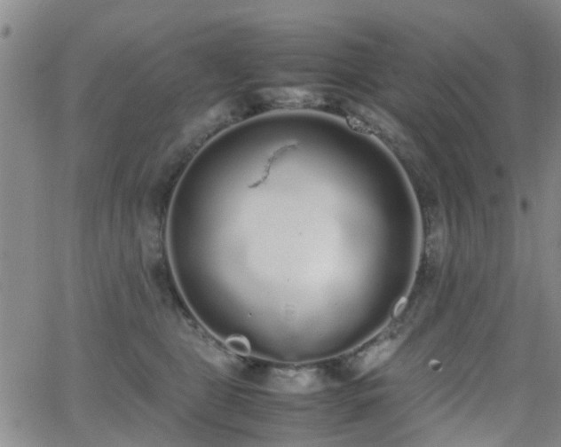 X0000062150469200512091319