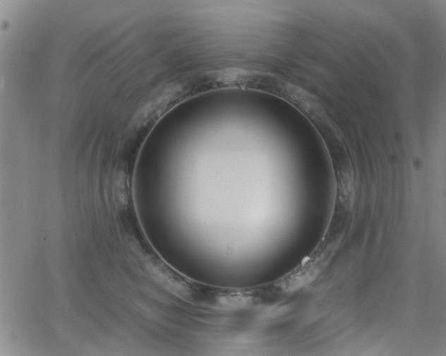 X0000062150470200512091319