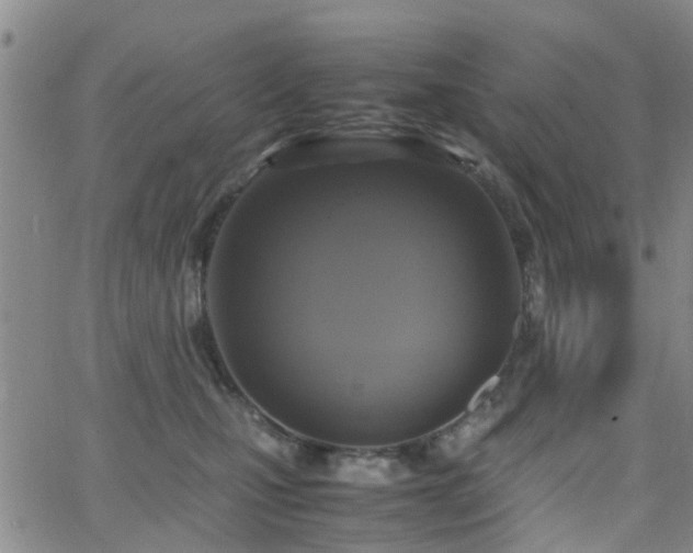 X0000062150471200512091319