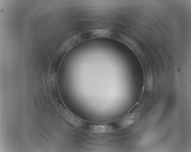 X0000062150473200512091319