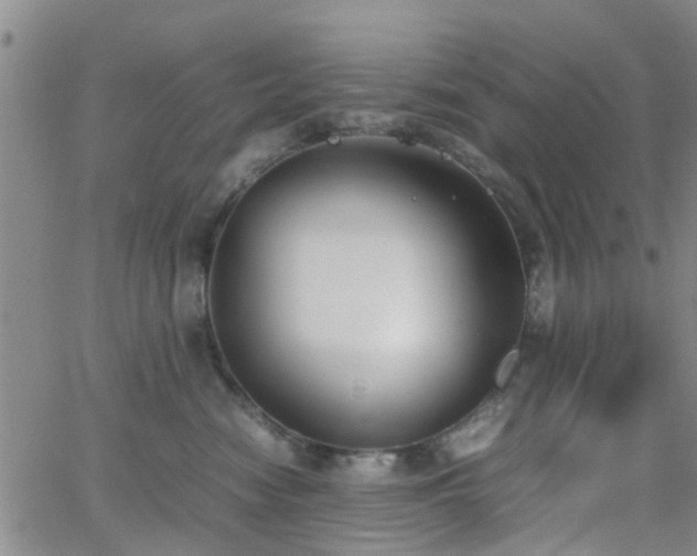 X0000062150474200512091319