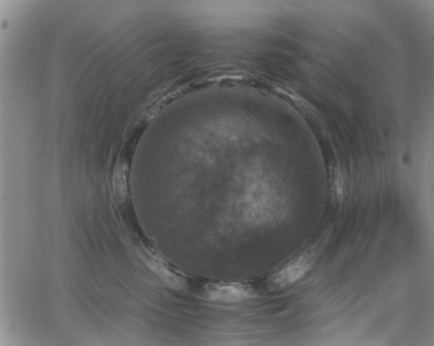 X0000062150475200512091319