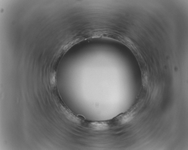 X0000062150477200512091319