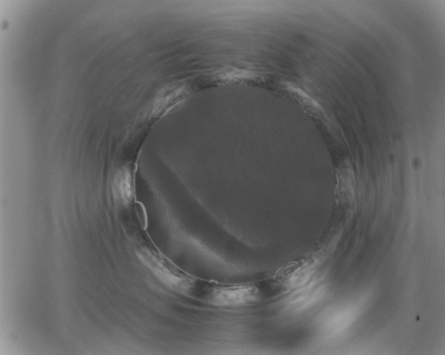 X0000062150479200512091319