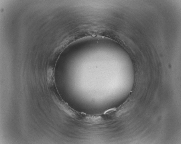 X0000062150480200512091319