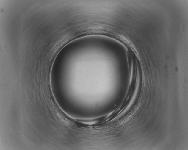 X0000062150481200512091318