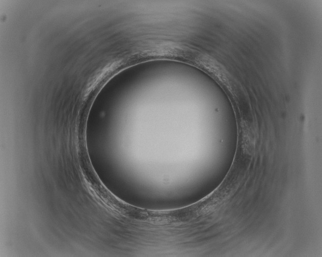 X0000062150482200512091318