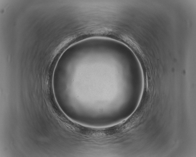 X0000062150483200512091318