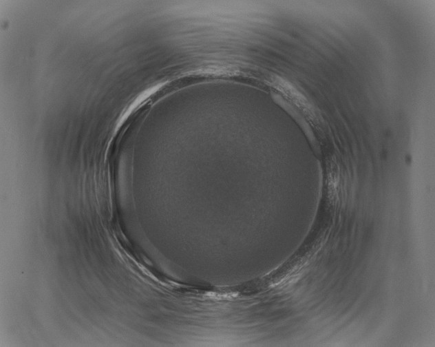 X0000062150484200512091318