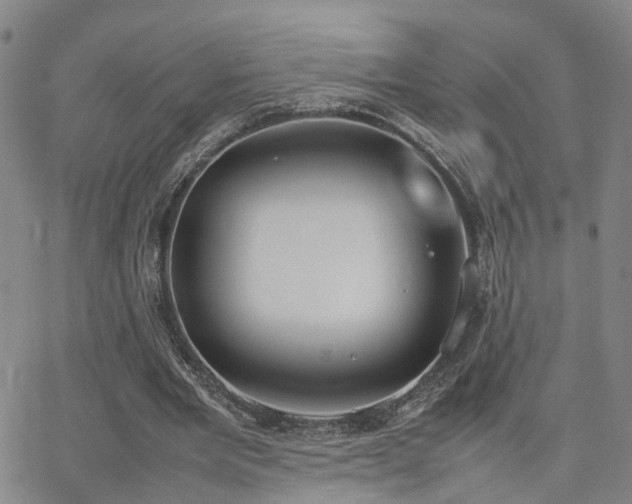 X0000062150485200512091318