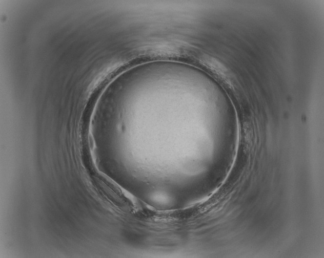 X0000062150487200512091318