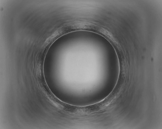 X0000062150489200512091318