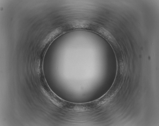 X0000062150490200512091318