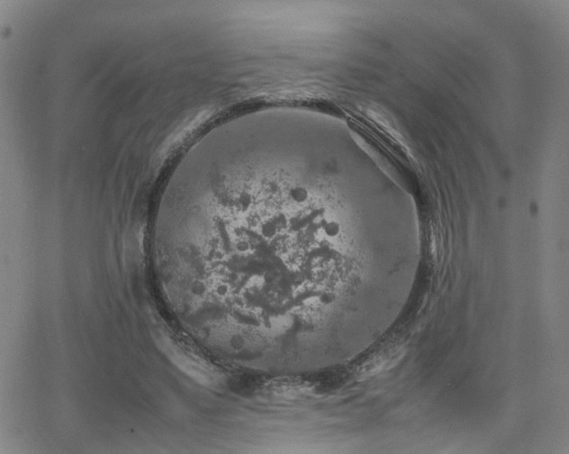 X0000062150491200512091318