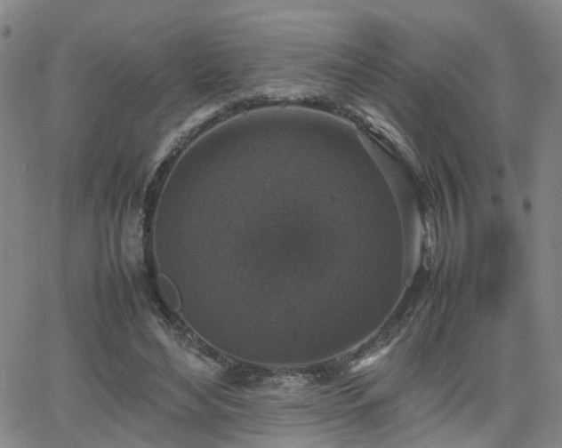 X0000062150492200512091318