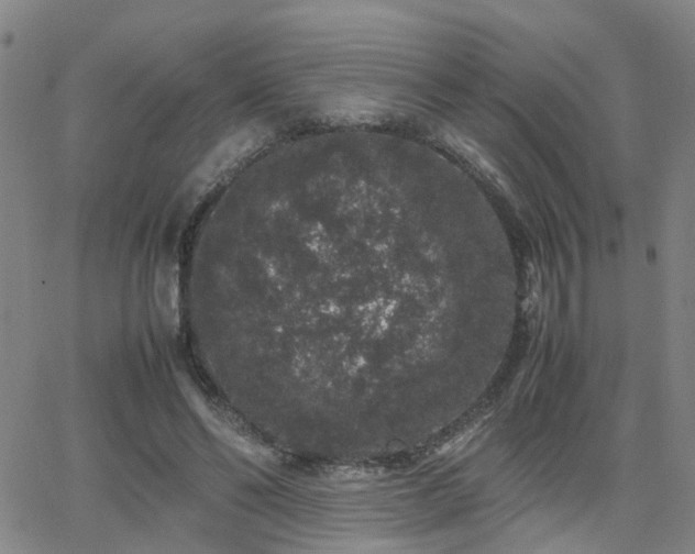 X0000062150494200512091318