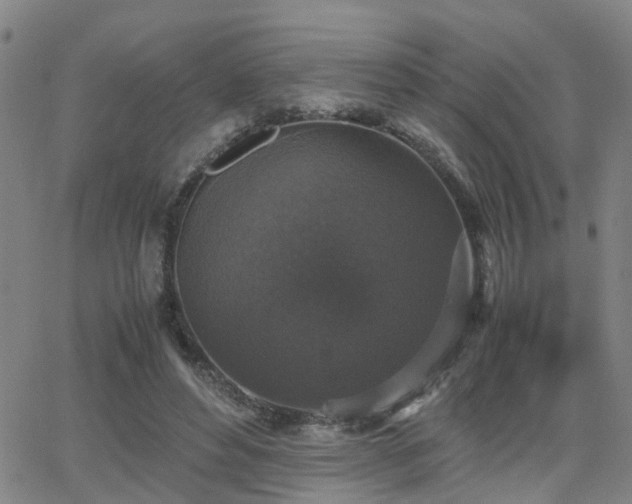 X0000062150496200512091318