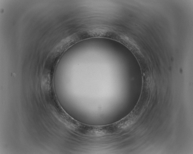 X0000062150498200512091318