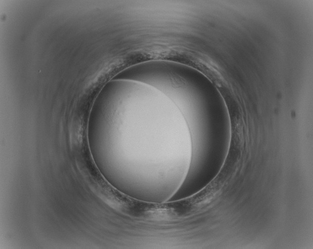 X0000062150499200512091318