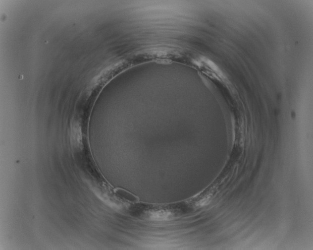 X0000062150500200512091318