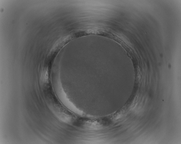 X0000062150502200512091318