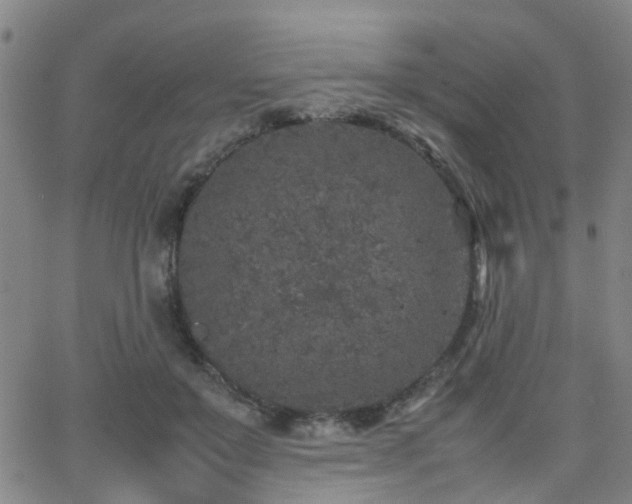 X0000062150503200512091318