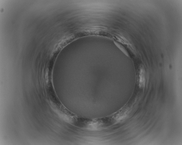 X0000062150504200512091318