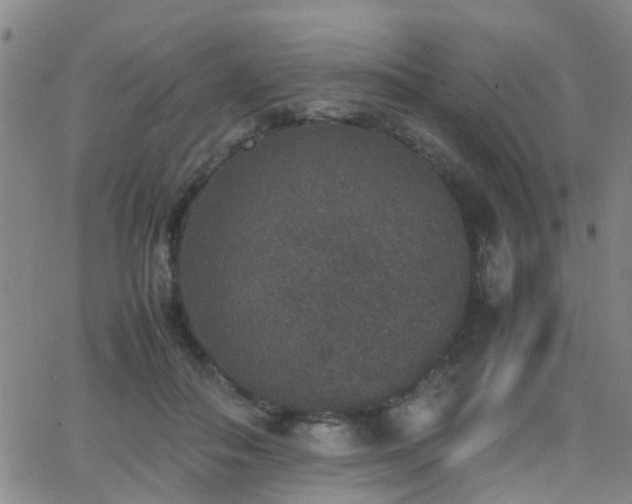 X0000062150506200512091318