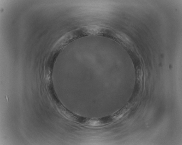 X0000062150507200512091318