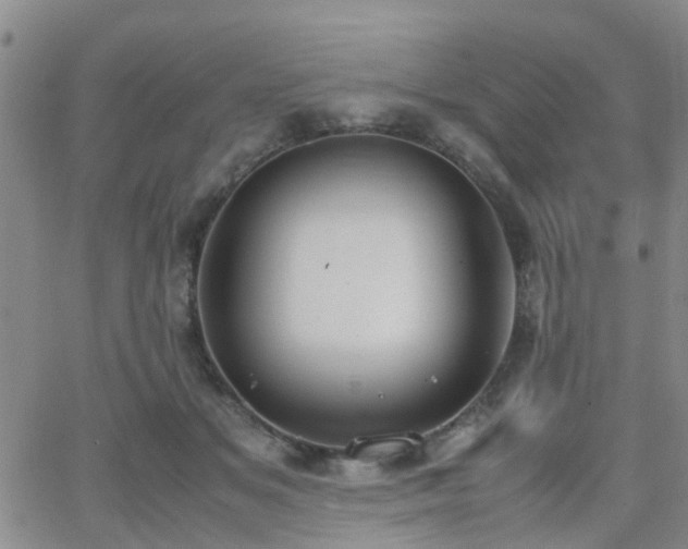 X0000062150509200512091318