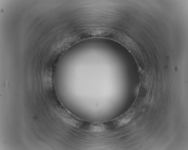 X0000062150510200512091318