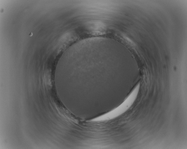 X0000062150512200512091318