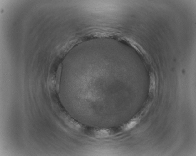 X0000062150513200512091318