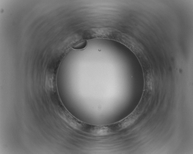 X0000062150514200512091318