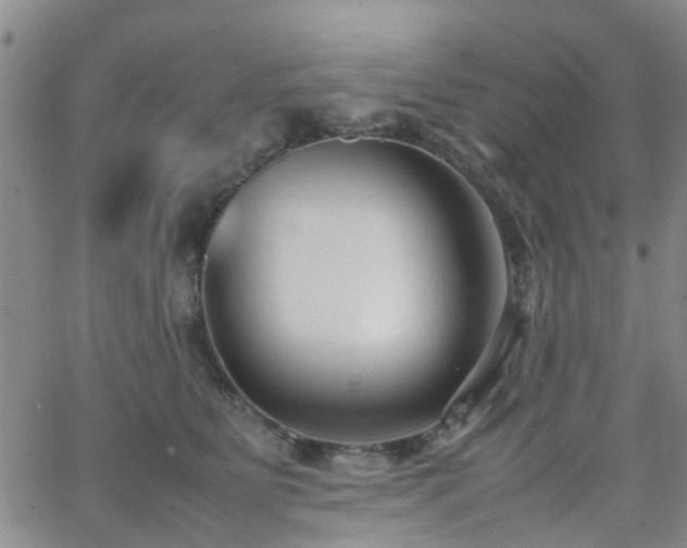 X0000062150515200512091318