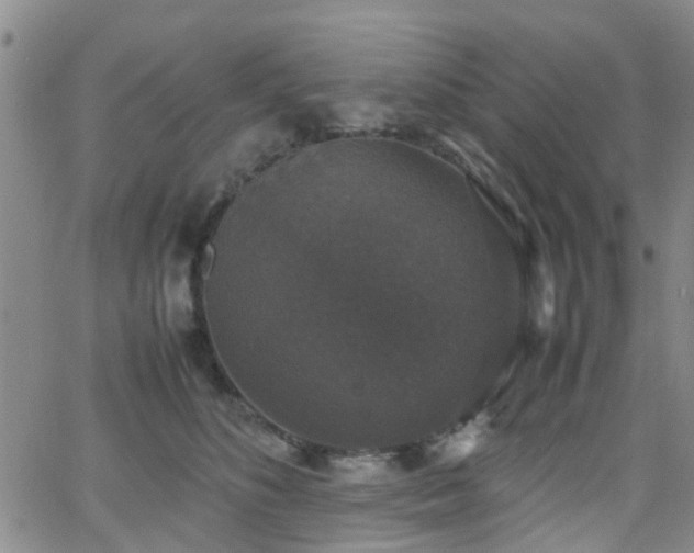 X0000062150516200512091318